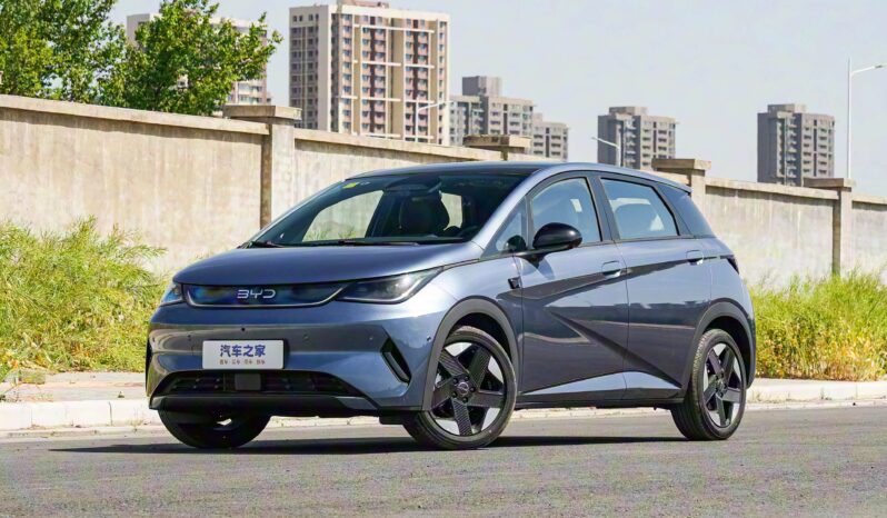 
								Dolphin 2024 Honor full									